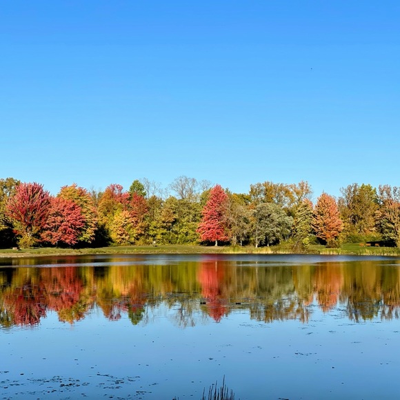 Meet your Posher, Tricia - Picture 1 of 1